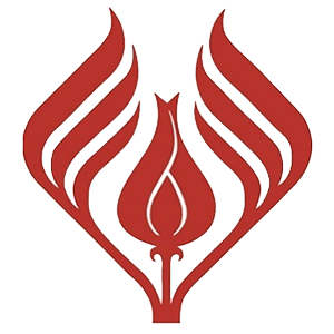 Калининская. М11/12