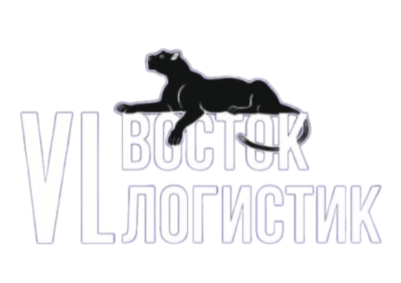 Ю12. "Восток Логистик" СШ "Русич" (Владивосток)